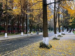 -四川大学(望江校区)