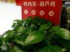 -大厨小馆(华阳城店)