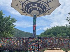 -西双版纳原始森林公园