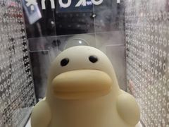 -蒲公英(象山北路店)