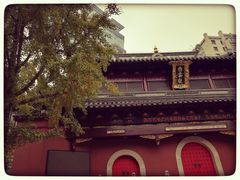 -上海白云观