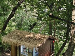 -终南山南五台景区