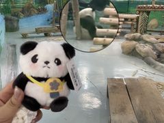 -柳州市动物园