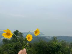 -缥缈峰景区