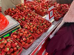 -沙洲路步行街(长安南路店)