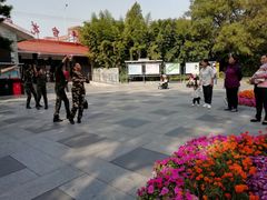 -丰台花园