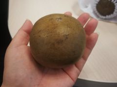 罗汉果-北京同仁堂施小墨中医馆(建外SOHO店)