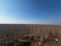 -黄海国家森林公园