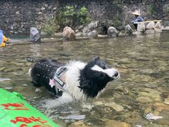 -安吉龙王山峡谷漂流