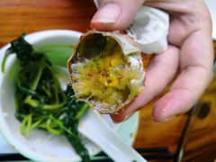 -贤鲁岛贤溪农庄