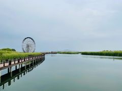 -苏州太湖湖滨国家湿地公园