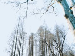 -中山公园