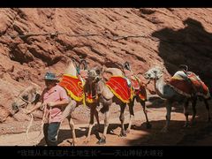 -天山神秘大峡谷