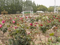 -嘉北郊野公园