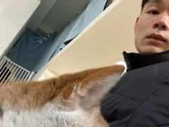 -李小姐の猫咖啡馆(五角场店)
