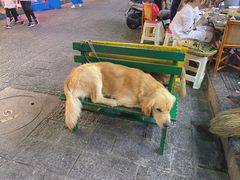 -八木轩·寻味大理白族民俗餐厅(文献路店)