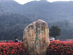 -广州市石门国家森林公园