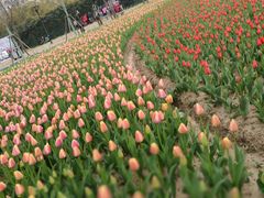 -大宁灵石公园西门票处