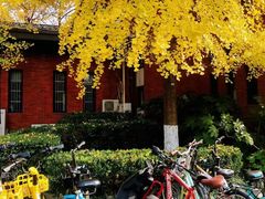-浙江大学(玉泉校区)