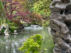 -上海醉白池公园