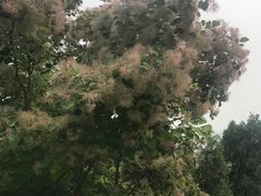 -府君山公园