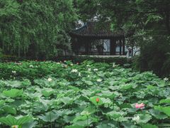 -拙政园