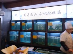 -南山饭店(阳明古镇店)