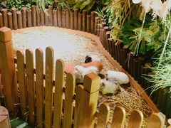 -藦茜花园宠物主题亲子互动体验馆(国顺东路店)