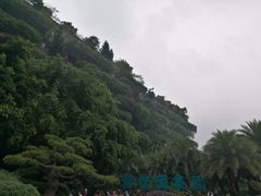-碧桂园总部大楼