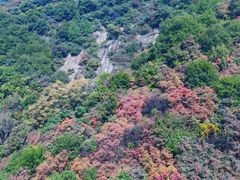 -少华山国家森林公园