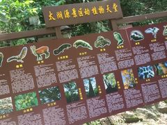 -太湖源风景区