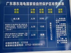 -广东惠东海龟国家级自然保护区
