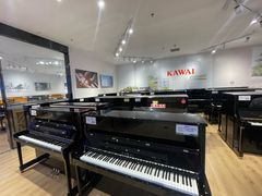 -柏斯音乐艺术中心·钢琴·吉他(世纪金源店)