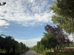 -禧宴Joyous Restaurant(禧园店)