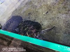 -鸿通城购物中心