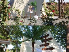 -安德鲁户外烧烤帐篷营地(马泉营店)