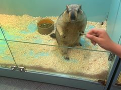 -FAIRYLAND龙族星球主题餐厅(凯丹广场店)