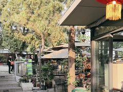 -蘇河湾·新鲁菜·泰山宴(泰山店)