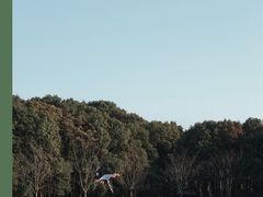 -广富林郊野公园