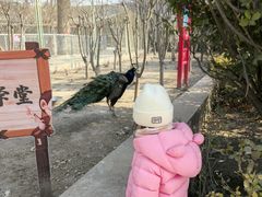 -保定市动物园