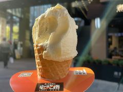 -野人先生现做冰淇淋(北京顺义祥云小镇店)