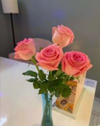 -苑苑vbeauty科技美容SPA