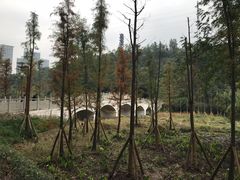 -重庆彩云湖湿地公园