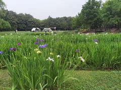 -共青国家森林公园-售票处