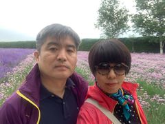 -富田农场