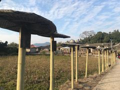 -苏家围·东江画廊旅游景区