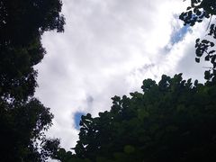 -白鹭湾湿地公园