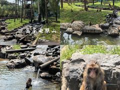 -北京野生动物园