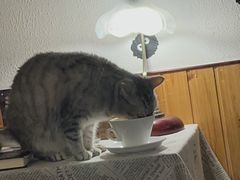 -隅cafe(傅厚岗店)