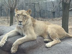 -北京野生动物园